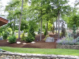 Conifer and boulder planting bed on wooded hillside