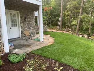 Covered stone patio entrance with ladder against pine