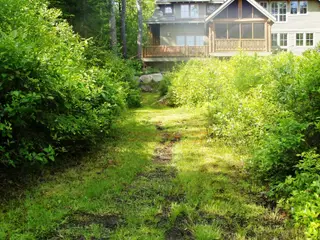 Dense shrub plantings screening residential property structures