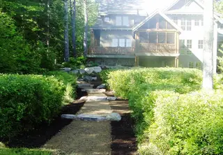 Gravel streambed pathway winding through dense shrubs