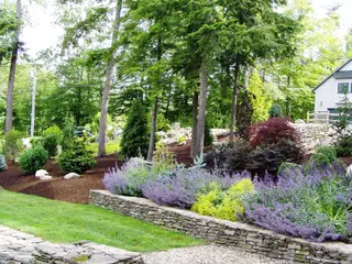 Stone retaining wall with purple flowering plants and layered plantings