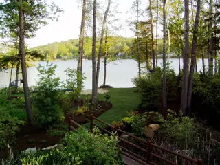 Waterfront landscape with rustic fencing and forest canopy