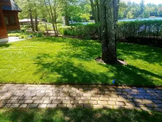 Waterfront lawn with natural hedge screening and water access