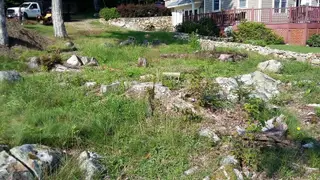 Cleared Lakefront Lot Before Hydroseeding