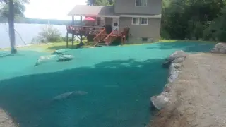Freshly Hydroseeded Lawn By The Lake