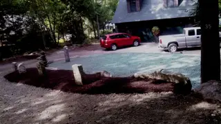 Hydroseeded driveway edge with granite posts and parked vehicles