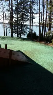 Hydroseeded lakefront lawn with dock ramp