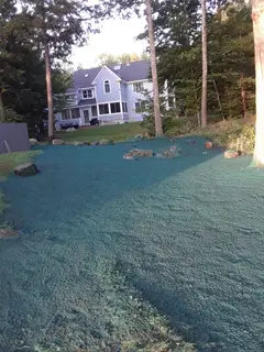 Hydroseeded yard with scattered boulders around residential home