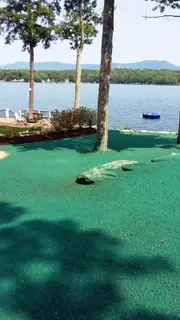 Waterfront hydroseeding with mature tree preservation and views