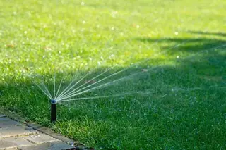 Fan-spray sprinkler head watering lawn edge