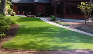 Freshly seeded lawn with new irrigation system