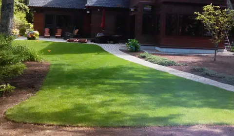 Freshly seeded lawn with a new irrigation system