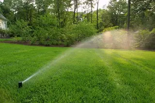 Sprinkler casting wide arc across sunlit lawn