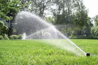 Sprinkler irrigating front lawn
