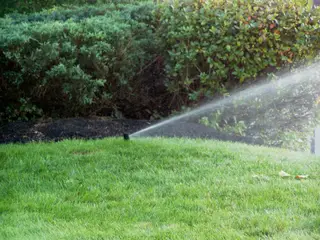 Sprinkler spraying across mulch bed and hedge