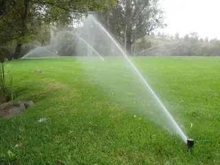 Sprinklers watering open lawn near trees