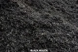 Black mulch sample