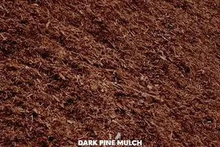 Dark pine mulch sample