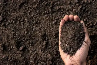 Hand holding rich dark topsoil