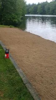 Freshly raked sand beach along wooded lakeshore