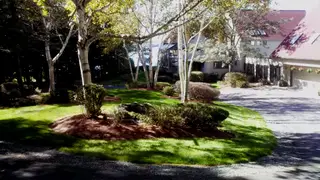 Manicured lawn mound with birch trees near driveway