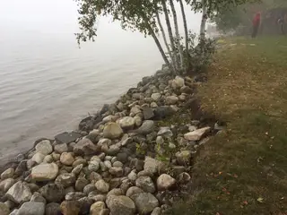 River stone shoreline with birch trees in fog