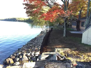 River stone shoreline with birch trees in fog