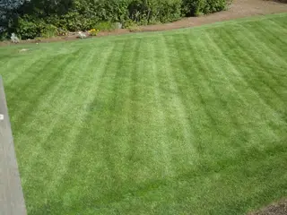 Sloped striped lawn along garden bed