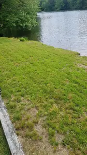 Sparse, patchy lawn near lake edge