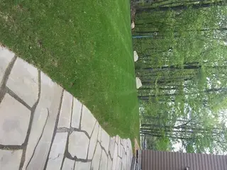 Striped lawn beside stone walkway