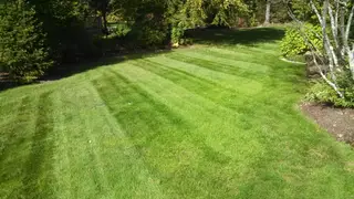 Striped lawn on rounded hillside lot