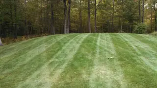 Striped lawn on wooded hillside property