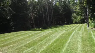 Striped lawn sloping through wooded tree line