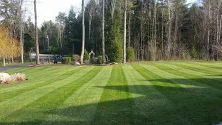 Striped lawn with decorative urn planting bed
