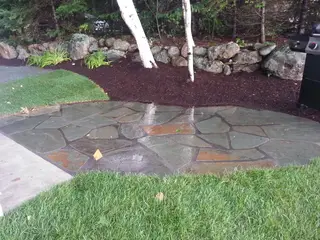 Wet flagstone patio beside mulched birch bed