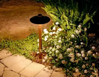 Path light beside stone wall and flowering shrub