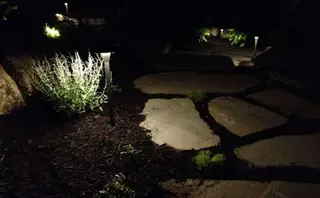 Path lights along flagstone walkway at night