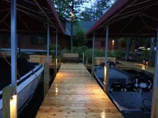 Path lights glowing through trees at night