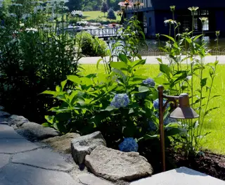 Wall-mounted lantern light in garden