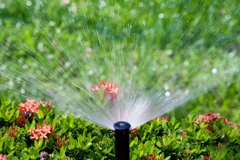 A garden sprinkler watering green plants and red flowers
