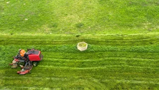 Professional mowing on a striped lawn
