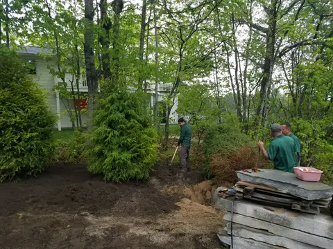 Crew clearing brush among trees at a Lakes Region property