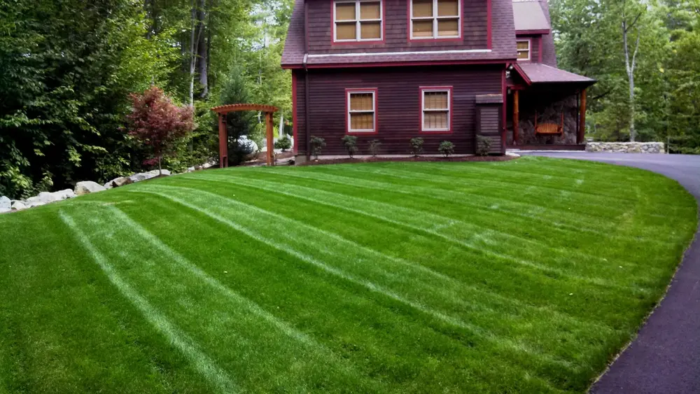 Neatly mowed striped lawn in front of a dark home